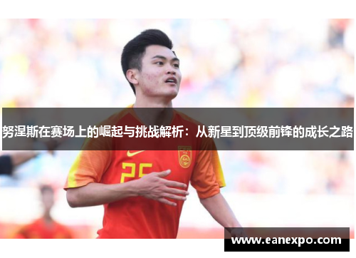 努涅斯在赛场上的崛起与挑战解析：从新星到顶级前锋的成长之路