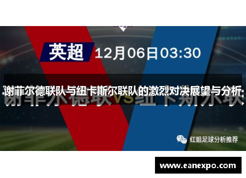 谢菲尔德联队与纽卡斯尔联队的激烈对决展望与分析