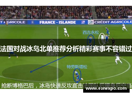 法国对战冰岛北单推荐分析精彩赛事不容错过
